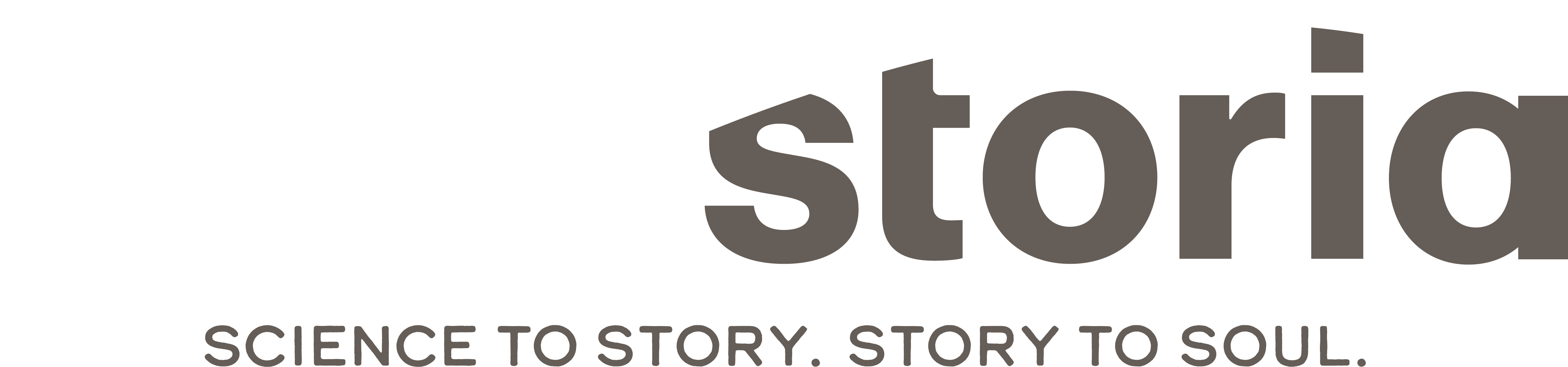 Medistoria Logo